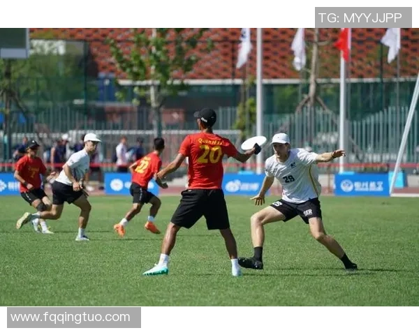 飞盘盛宴：深入了解成都飞盘队的团队合作与精神风貌